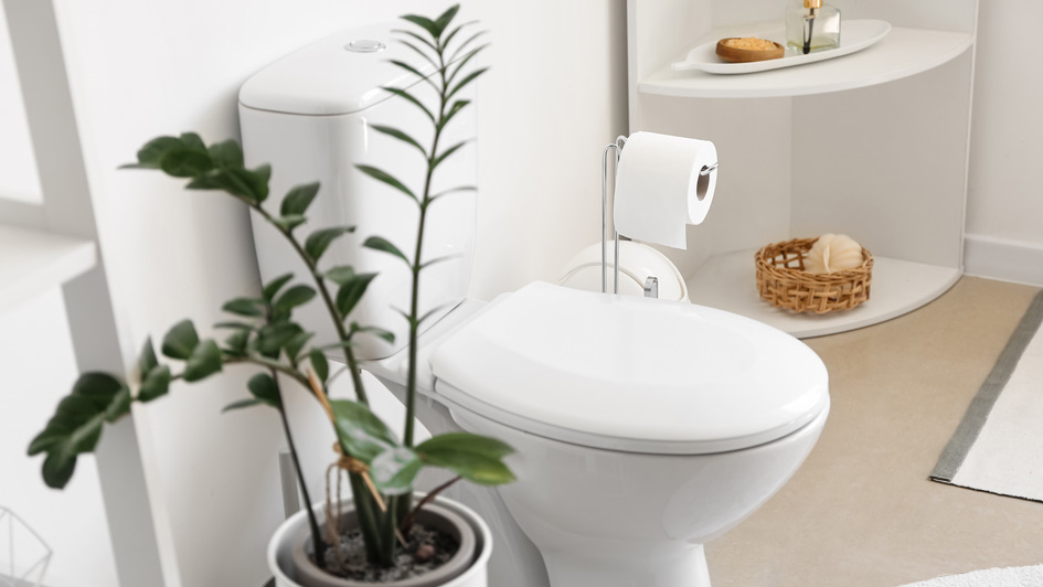Answered: Why a Toilet Won't Stop Running and Five Other Plumbing Issues